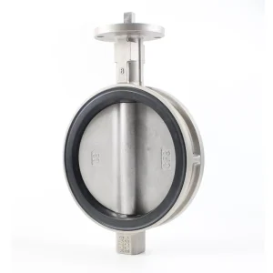 Stainless Steel 304 PN16 Earless Butterfly Valve with Bare Stem