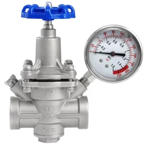 Stainless Steel 304 Screw Thread Two-Way Regulator Pressure Vacuum Relief Valve for Water, Air, and Oxygen
