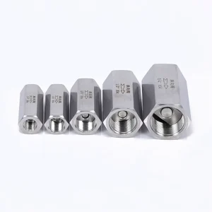 Stainless Steel 316 304 Air Check Valve High Pressure Hexagon Female Thread Non Return Valve