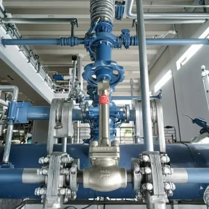 Stainless Steel 316 Custom Logo Low Temperature Globe Valve for Cryogenic Liquid Gases Bulk Tanks