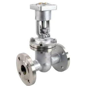 Stainless Steel AISI 321 1.4541 Gate Valve Wedge Gate Valve 16 bar Flanged Electric