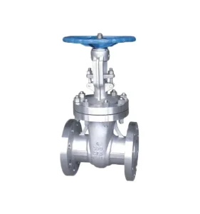 Stainless Steel API Manual Gate Valve