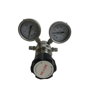 Stainless Steel Adjustable Air Pressure Relief Regulator Valve with 2pcs Pressure Gauge