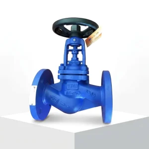 Stainless Steel Angle Pattern Globe Valve CF3M PN100 DN25 1 Inch Socket Weld On/Off Electric
