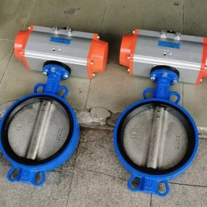 Stainless Steel Butterfly Valve 2-24 Inch Wafer Lug Flanged OEM ODM Acceptable