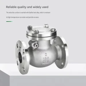 Stainless Steel Check Valv Flanged Check Valv DN50 DN80 DN100 Flap Type Flange Connection Valve