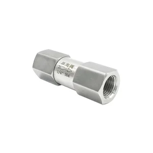 Stainless Steel Check Valve 1/4” 3/8” 1/2” NPT BSP Female Non Return Valve