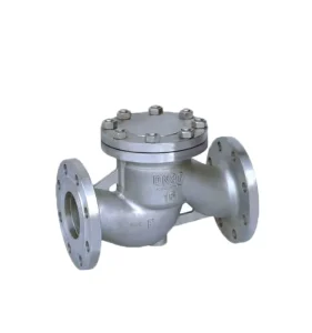 Stainless Steel Check Valve DN15-300 Lift Check Valve