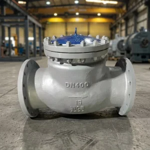 Stainless Steel Check Valve NRV Backflow Preventer 316L CF8M 2205 2507 2″-10″ Class 300