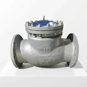 Stainless Steel Check Valve Non-Return Swing/Lift/Dual/Silent 316L/CF8M/2205 2″-12″ Class 150