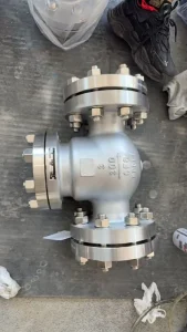 Stainless Steel Check Valve Power Plant OEM Industrial Valve PN16 PN40 Corrosion Resistant