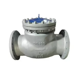 Stainless Steel Check Valve SS316 Flanged Swing Type Non Return Valve Industrial Piping