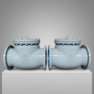 Stainless Steel Dual Plate Check Valve CF8M Class 300 DN100 Low Cracking Pressure for Water Treatment Petrochemical
