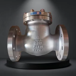 Stainless Steel Dual Plate Check Valve CF8M Class 300 DN100 Wafer Type Dual Disc Stainless Steel Spring