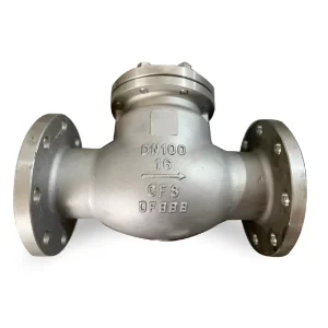 Stainless Steel Ductile Iron CF8 CF8M Manual Single Disc Door Flanged Swing Type Check Valve