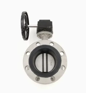 Stainless Steel Flange Butterfly Valve D341X 16P Worm Gear Operated Soft Seated 304 Stainless Steel Customizable