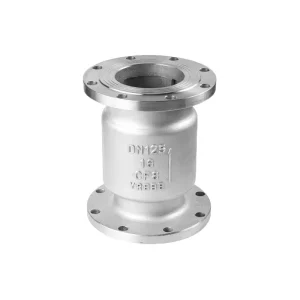 Stainless Steel Flange Swing Check Valve CF8 CF8M Bolted Bonnet Flanged One Way Valve