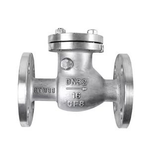 Stainless Steel Flange Swing Check Valve DN50 High Temperature for Various Highly Corrosive Chemical Media Muffler
