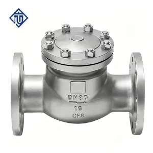 Stainless Steel Flange Swing Check Valve Horizontal Non return Valve