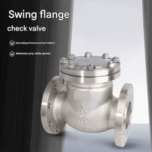 Stainless Steel Flange Swing Check Valve Non return Valve One way Valve Flange Check Valve