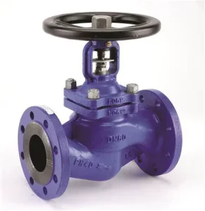 Stainless Steel Flanged Globe Valve for High-Temperature and High-Pressure Applications PN16 PN40