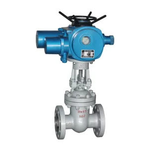 Stainless Steel Flanged Wedged Gate Valve Manual Power Electric Design Gate Valve
