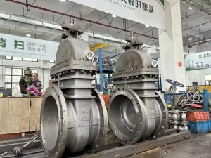 Stainless Steel Gate Valve 304 316 316L CF8M 2 Inch NPT 800LB Threaded Rising Stem Solid Wedge