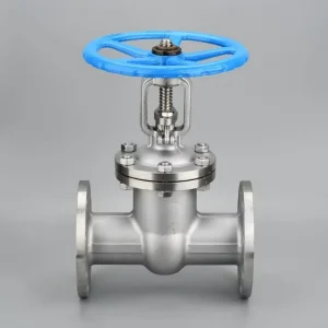 Stainless Steel Gate Valve 316 6 Inch Class 150 RF Flange OS&Y Design for Water Treatment and General Service