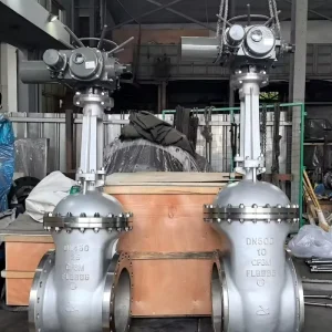 Stainless Steel Gate Valve ASTM A182 F316 150LB Flanged OS&Y Rising Stem Water Oil Gas DN50 DN100 Stainless