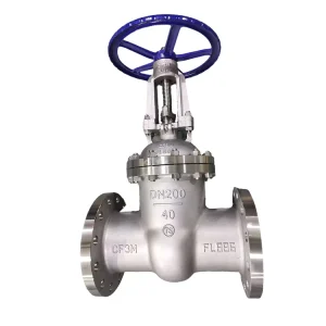 Stainless Steel Gate Valve CF3M DN200 PN40 Valve for Seawater 316L Flange Gate Valve