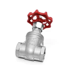Stainless Steel Gate Valve NPT BSP Female Thread Screw End Industrial Pipeline Shut off Valve