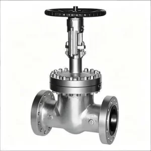 Stainless Steel Gate Valve Thread End Manual Shutoff Valve for General Use