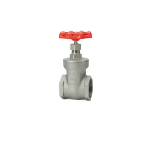 Stainless Steel Gate Valve for Water Manual Operation 1/2 in Port Size Factory Direct Sales