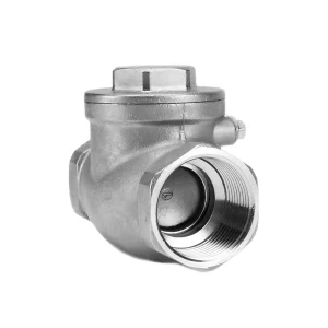 Stainless Steel Horizontal Screw-in Check Valve for Water 1/2″ to 2″ Port Size 3-Year Warranty