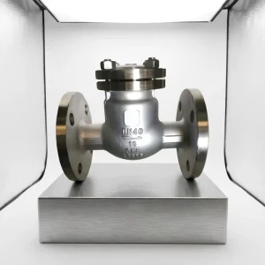 Stainless Steel Lift Check Valve F316 PN40 DN50 2 Inch Threaded NPT Ball Type Horizontal or Vertical