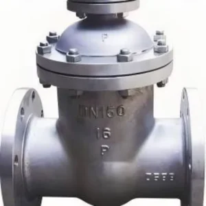 Stainless Steel OS&Y Gate Valve F304 PN40 DN100 (4Inch) Flanged RTJ Flexible Wedge Gear