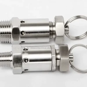 Stainless Steel Pressure Reducing Valve With 1/4″NPT Mini Relief Valve for Solvent Tank in Extraction