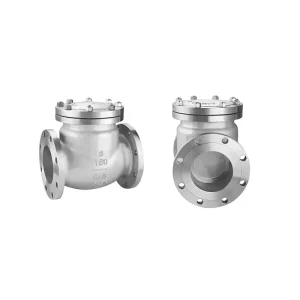 Stainless Steel SS 316 Work Pressure 2.2-23.1Mpa Air Compressor Water Pipe Fitting Flange Check Valve