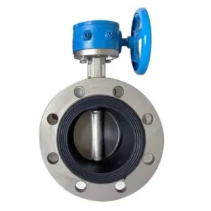 Stainless Steel SS304 DN250 Manual Double Flange Butterfly Valve for Water Normal Temperature General Application