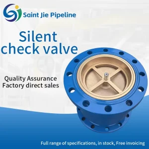 Stainless Steel Silent Check Valve Low Noise Water Pump Check Valve for Water Supply Plumbing System