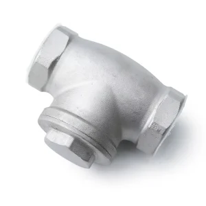 Stainless Steel Swing Check Valve 304 201 316 H14W Threaded Internal Thread Dn8-100 Made in China