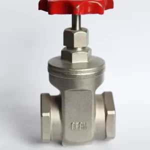 Stainless Steel Threaded Gate Valve Globe Valve