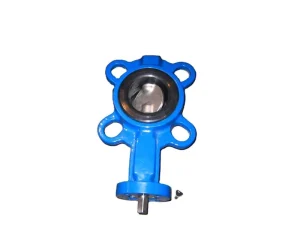 Stainless Steel Valve Body EPDM Sealed Stem Manual Flanged Butterfly Valve Water DN50-DN600