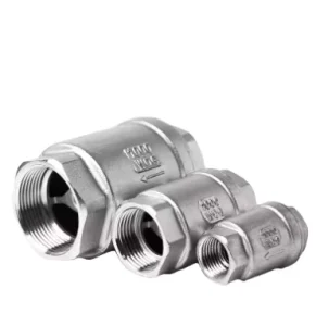 Stainless Steel Vertical Check Valve 1000PSI PTFE Sealing 304 316 Inline Non Return Check Valve