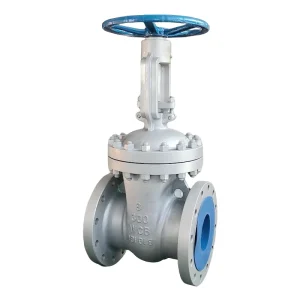 Stainless Steel Water Gate Valve Water Seal Gate Valve API 150 300LB 2in 36in Flange End with Handwheel