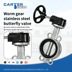 Stainless Steel Worm Gear Butterfly Valve 304 316L RF Flange Triple Offset Metal Seal Food Medicine Low Temp ANSI DIN OEM Custom
