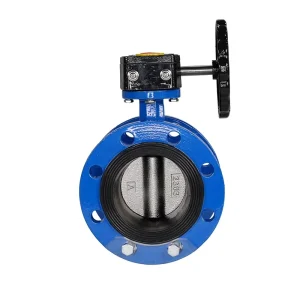 Stainless Steell Manual Handle PTFE Wafer Type Butterfly Valve Custom for Water Medium OEM