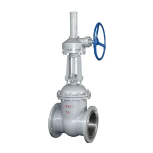 Standard 1/2-24 Inch Stainless Steel Casting Wedged Gate Valve Manual Flanged