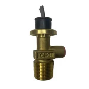 Standard Africa Style LPG Gas Control Valve Manual Hydraulic POL Valve Check Valve for 15KG Gas Cylinder