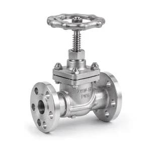 Standard Body Stainless Steel 316L Manual Gate Valve Z41W 16R CF3M PN16 Flanged Equivalent to ANSI Class 150